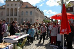 DSC_4892 [1024x768].JPG